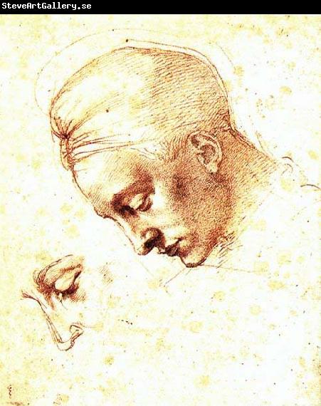 Michelangelo Buonarroti Study of a Head